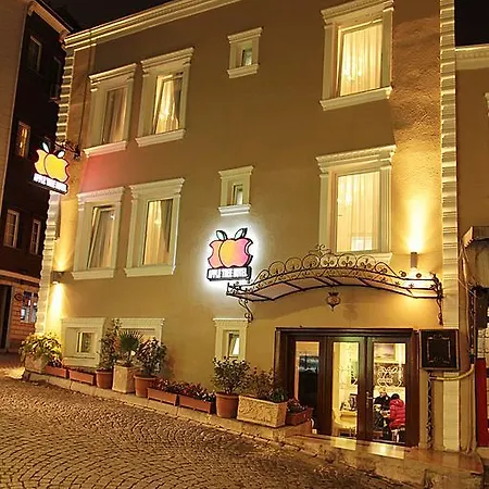 Apple Tree 3* Istambul