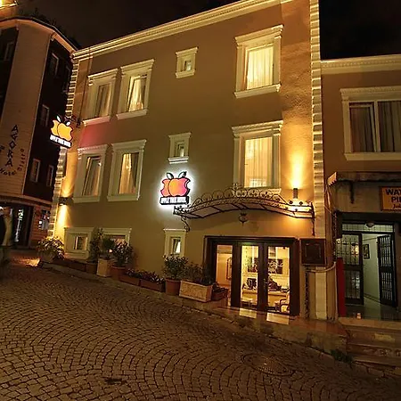 Hotel Apple Tree Istanbul