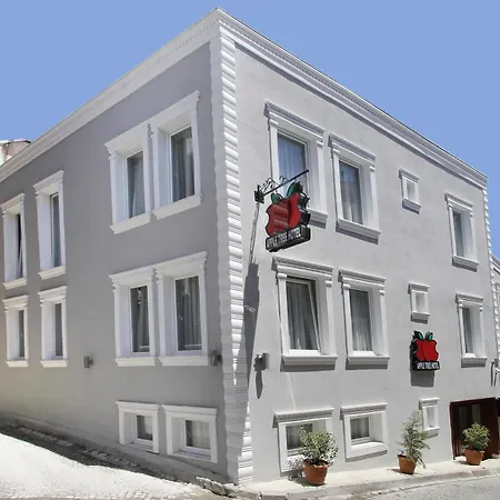 آبل تري اسطنبول