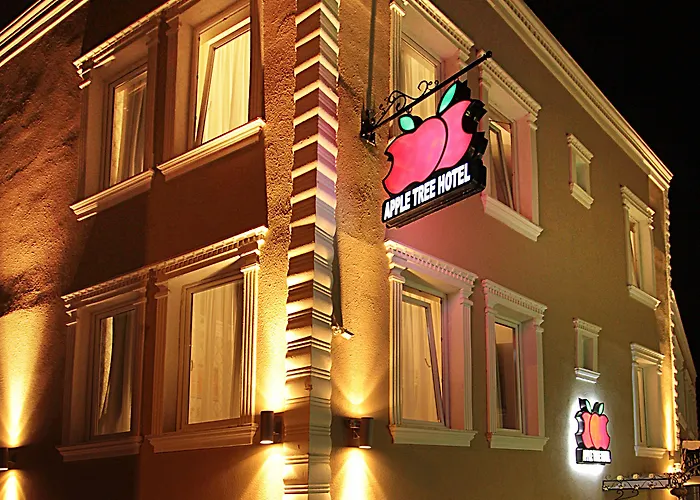 苹果树酒店 酒店 伊斯坦布尔