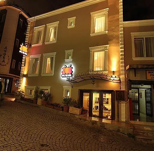 Hotel Apple Tree Istanbulská provincie