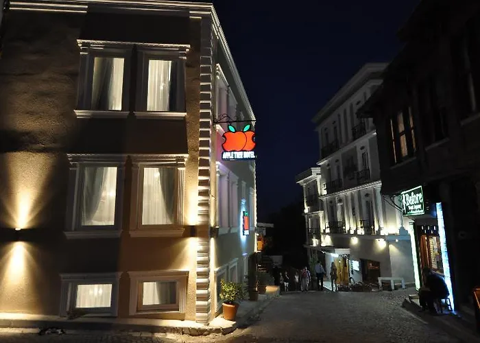 苹果树酒店 酒店 3*